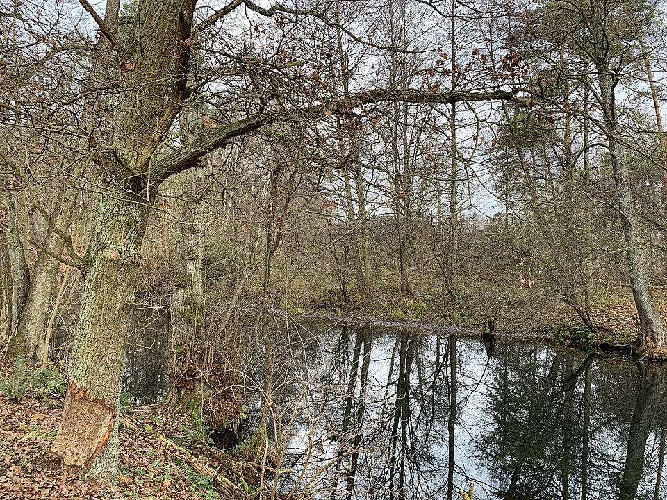 Kiessee
