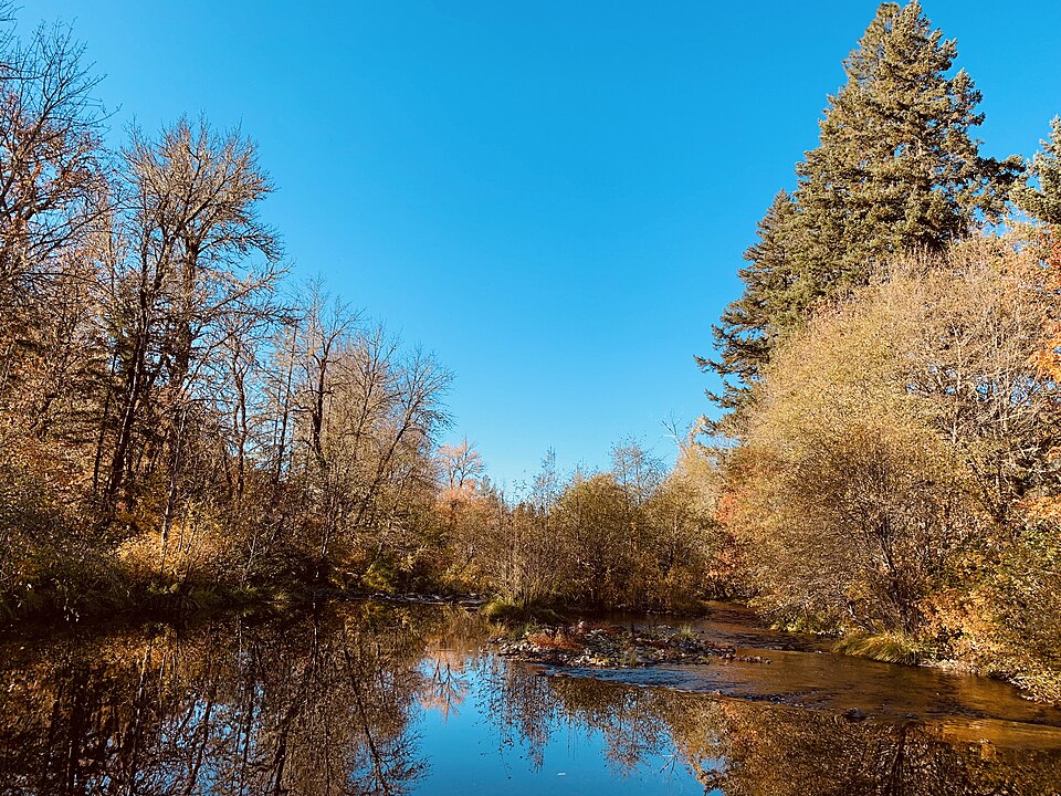 Elk Creek near Trail, Oregon