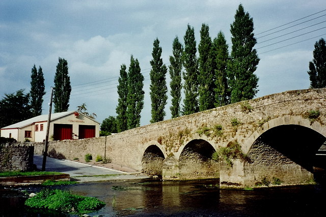 Erkina
