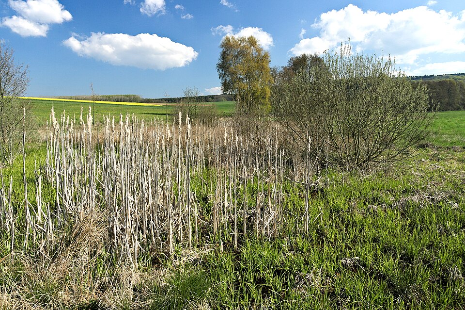 Klingelwiese