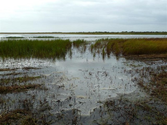 Lough Tacumshin