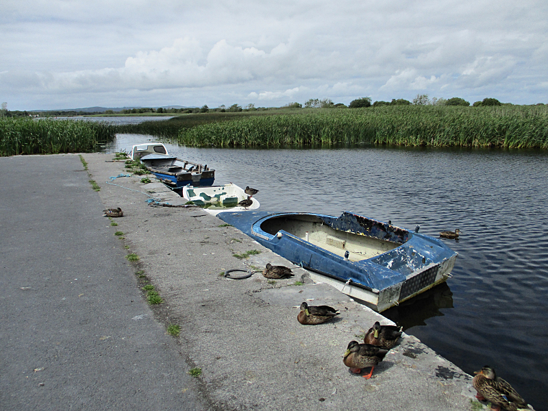 Corrib