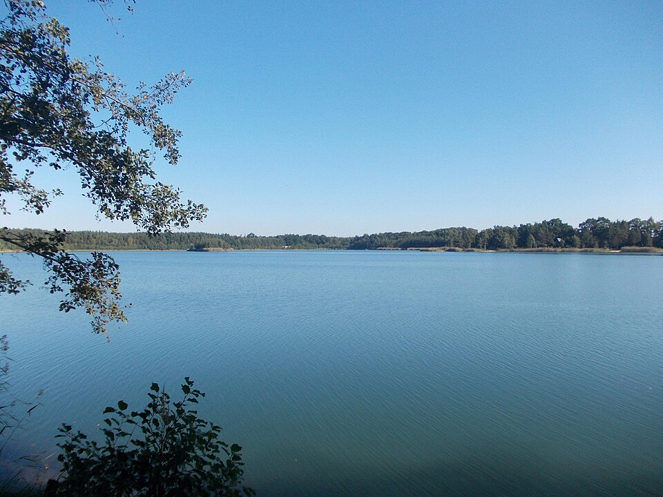 Falkenberg "Kiebitz"