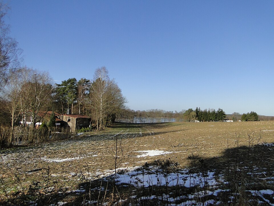 Dümmer See