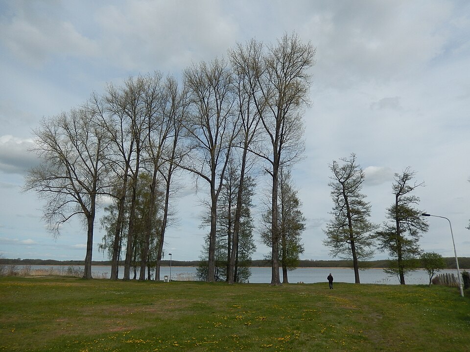 Mellensee