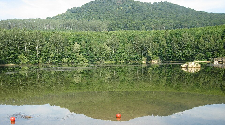 Waldsee Kruft