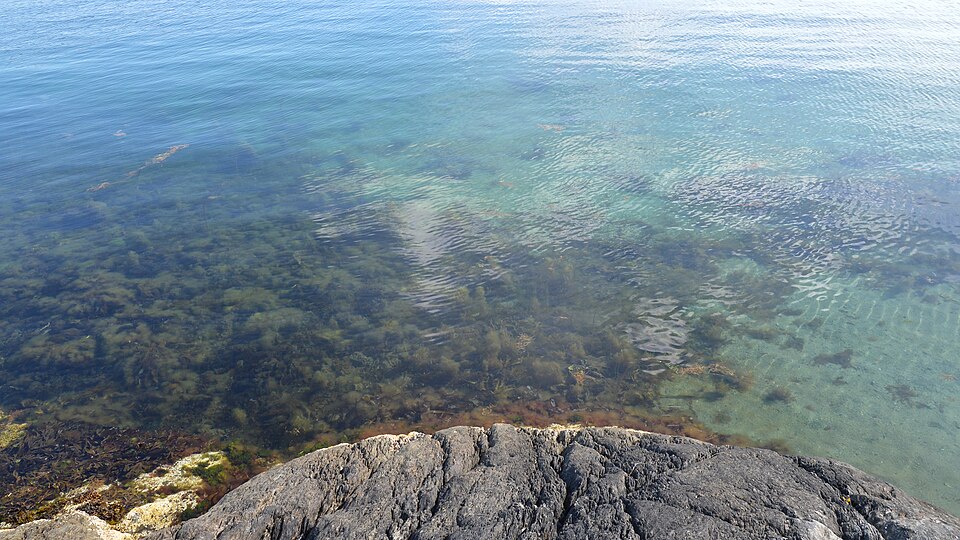 North Sea