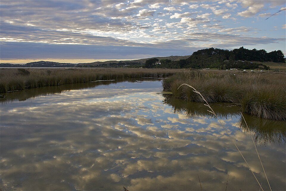 Pauatahanui Stream