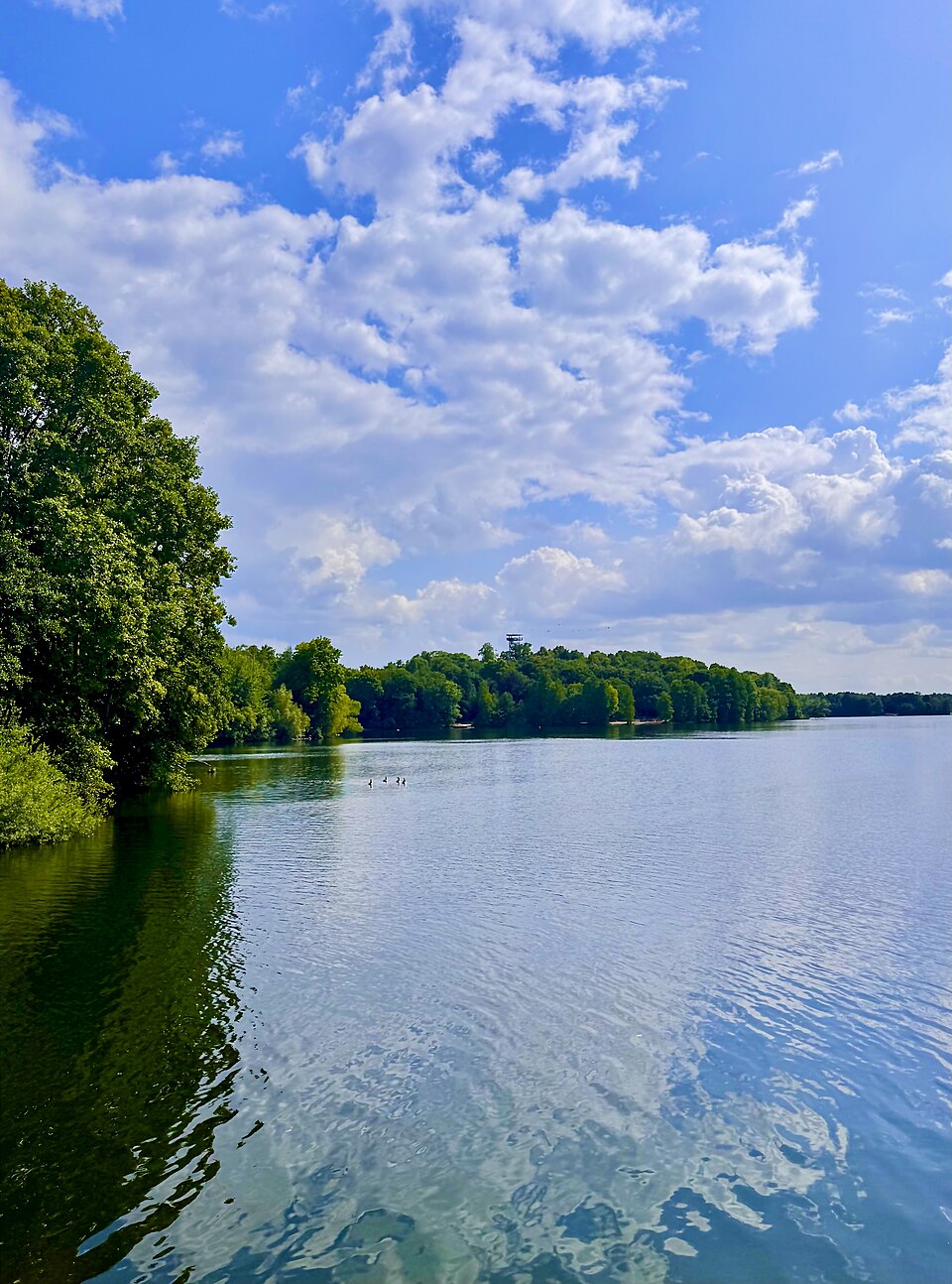 Wolfssee