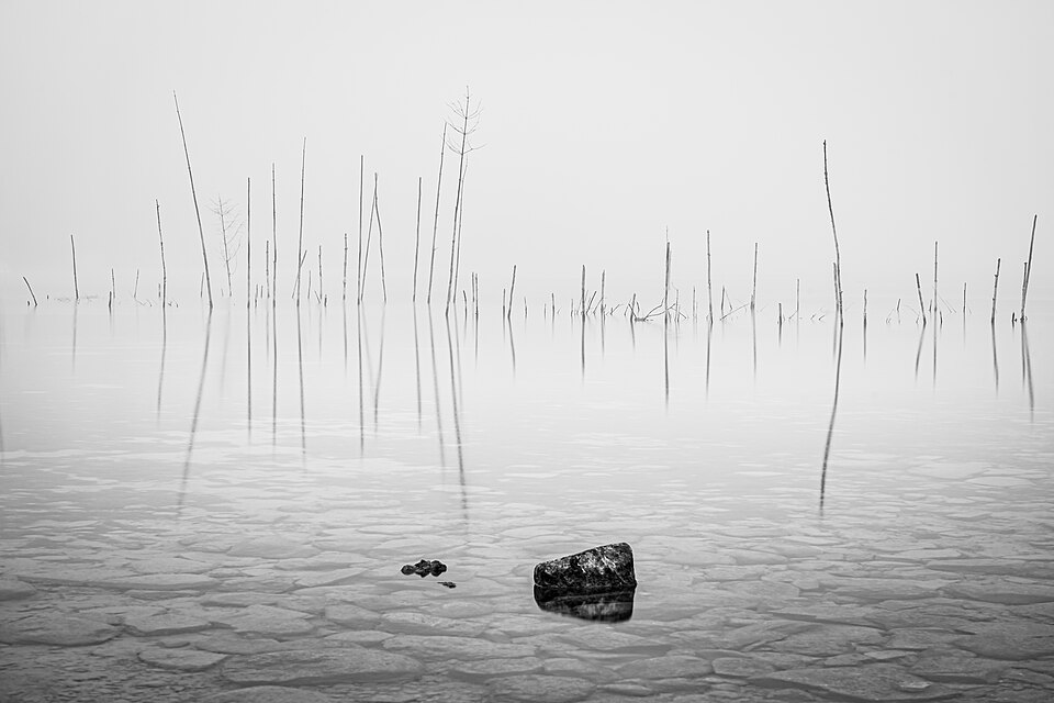 Lac de Constance