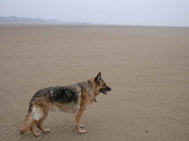 Irish Sea