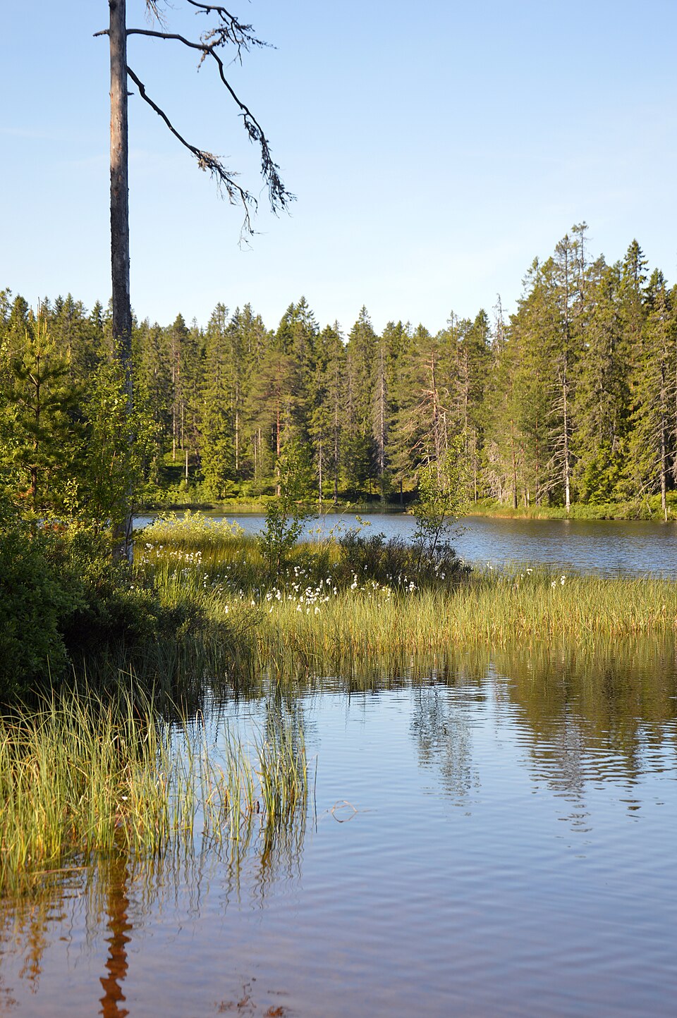 Södra Ånnabosjön