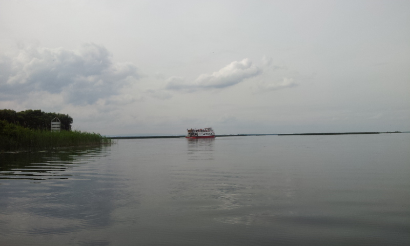L Corrib