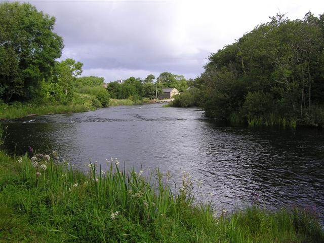 Drowes