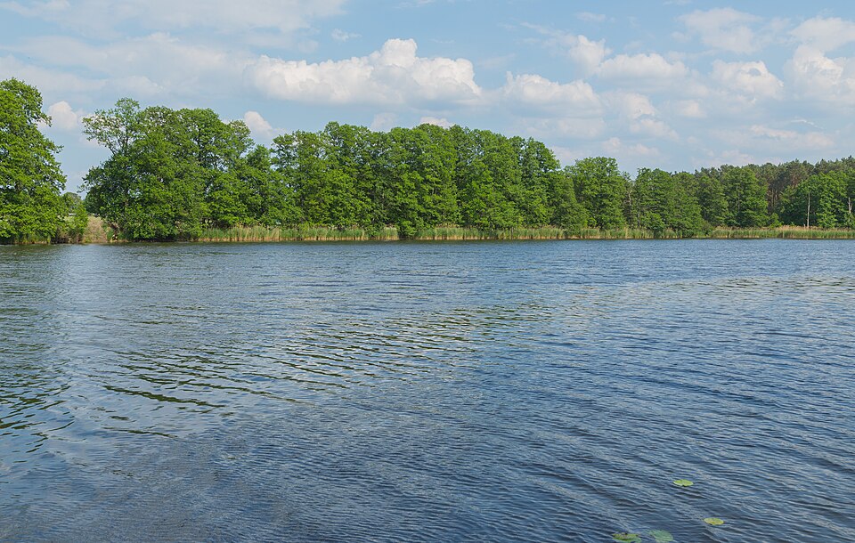 Schwielochsee