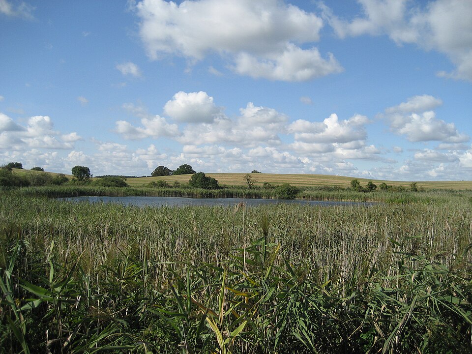 Kutzow See