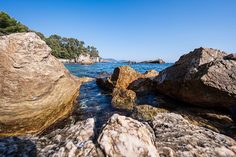 Méditerranée