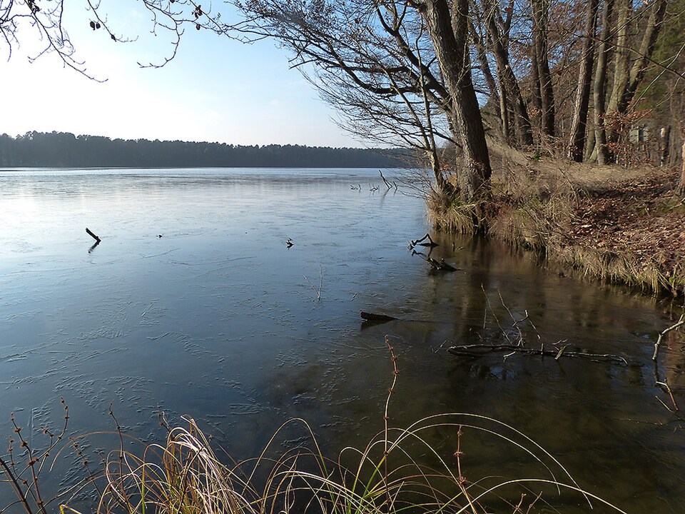 Moderfitzsee