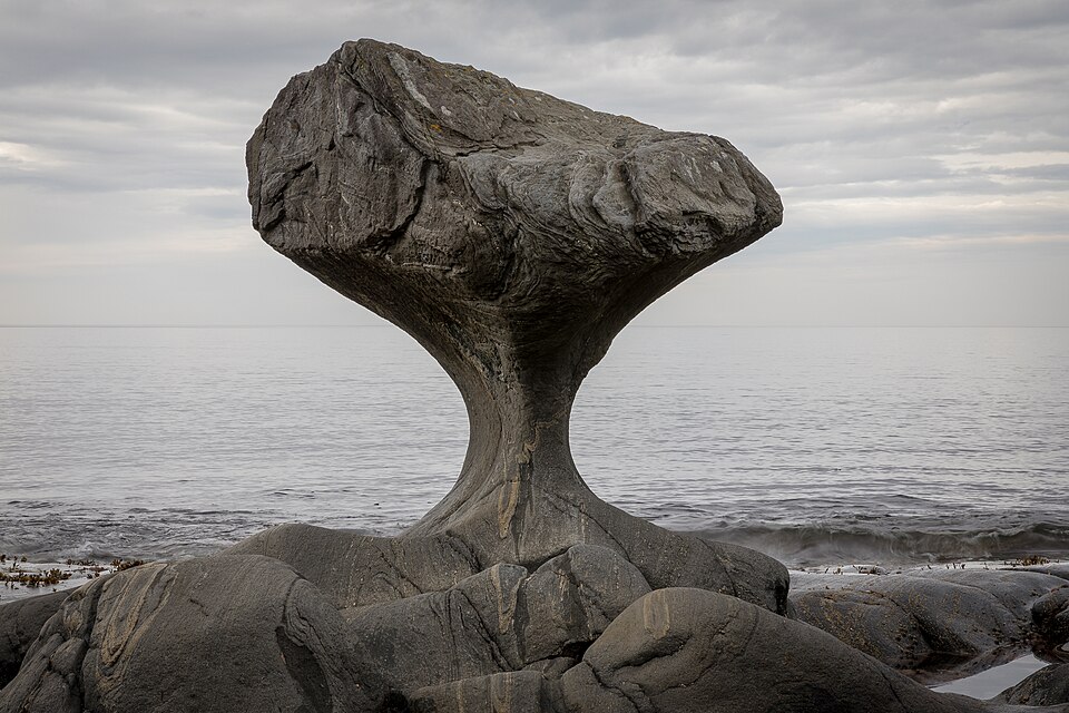 Norwegian Sea