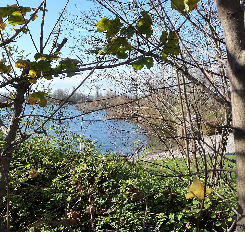 Willersinnweiher