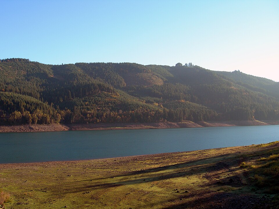 Mf Willamette River below Lookout Point Dam near Lowell, Oregon