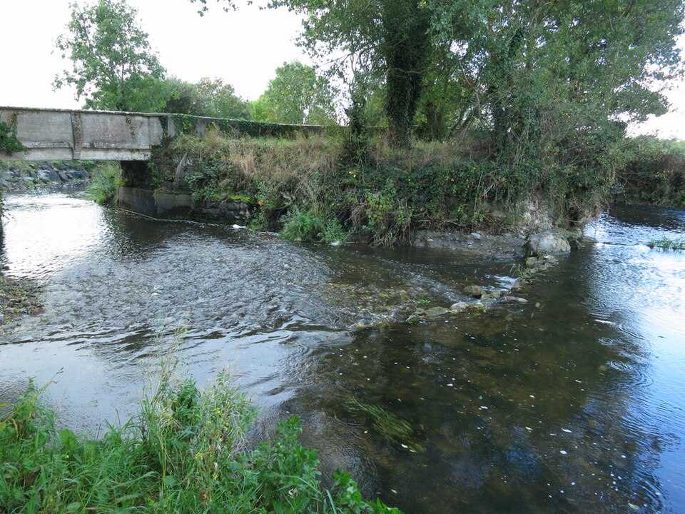 Camoge