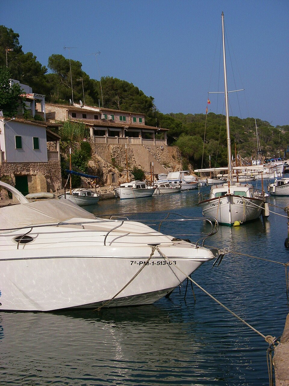 Mediterranean