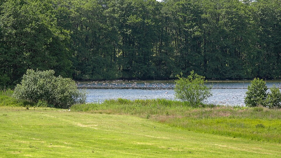 Wittensee