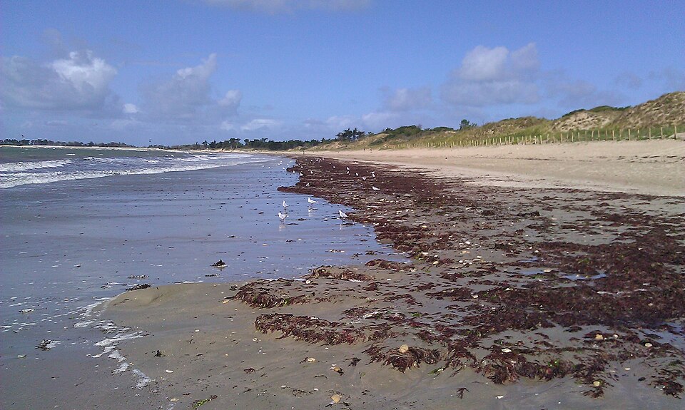 Atlantic