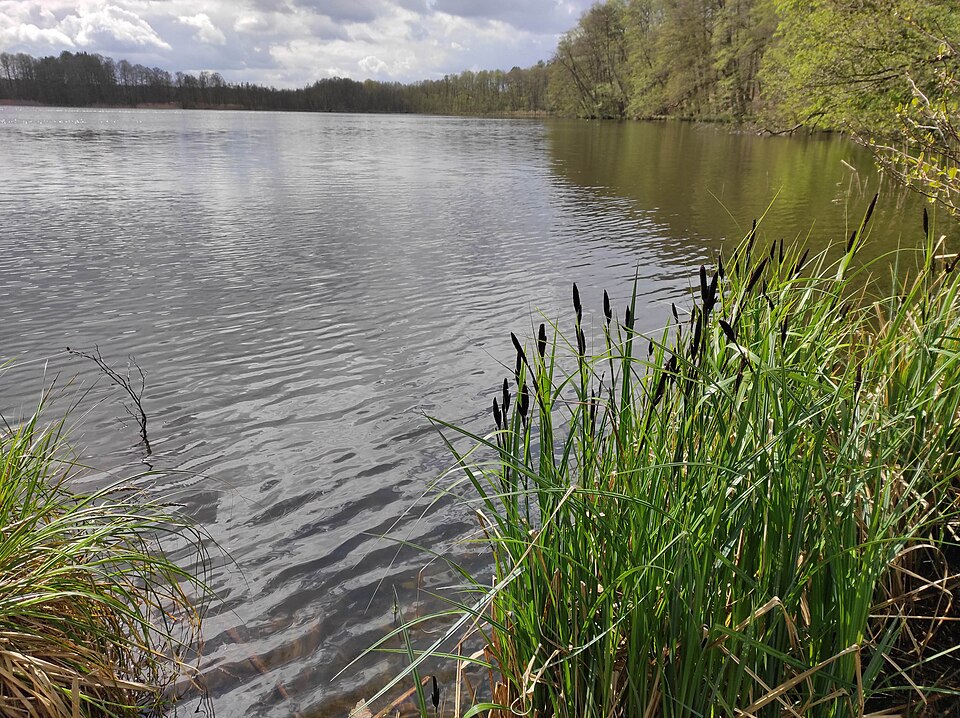 Ruhlesee