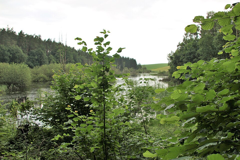 Thurower See