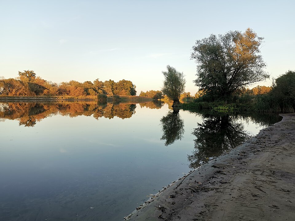Havel