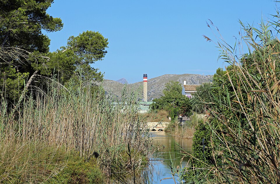 Mediterráneo