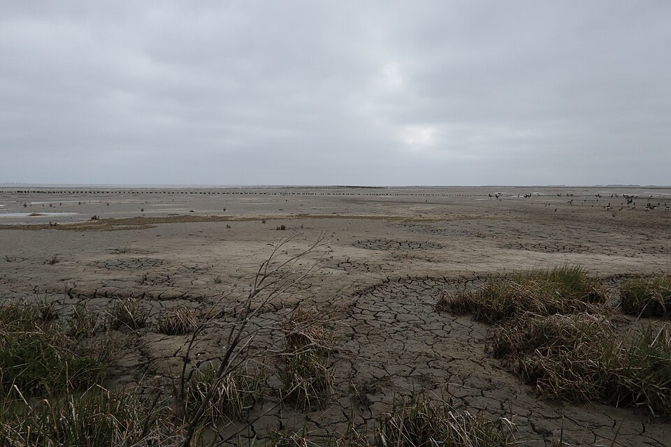 Holwerd vaargeul