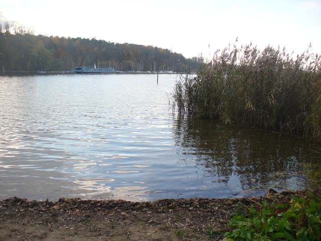 Große Steinlanke
