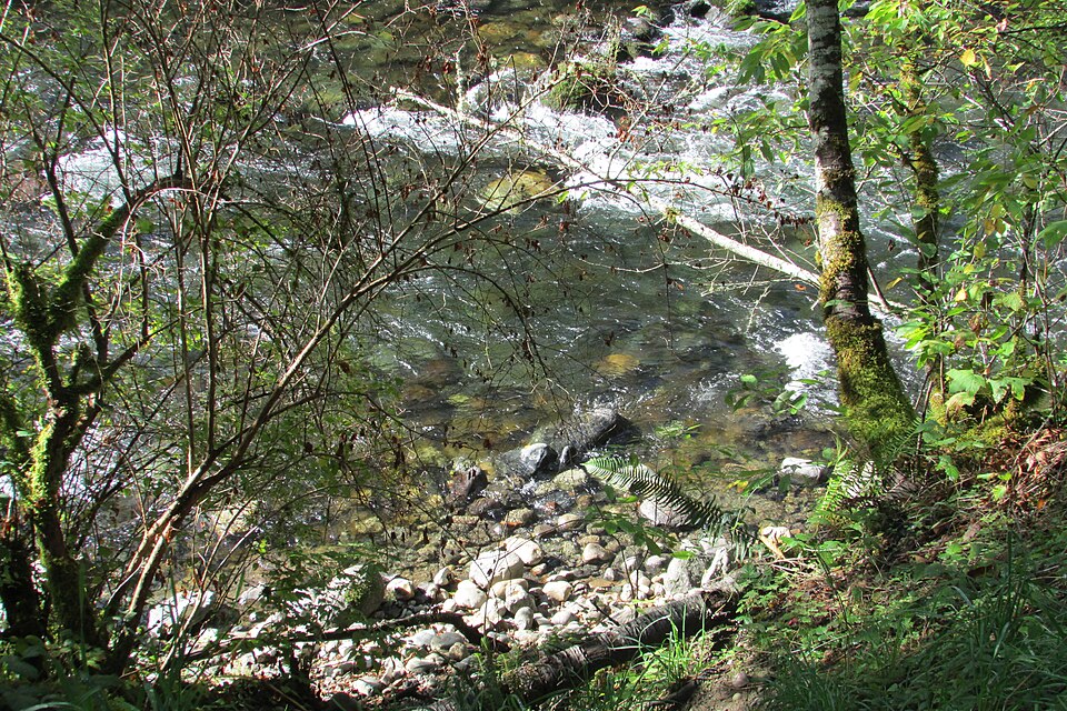 Cedar River below Diversion near Landsburg, Washington