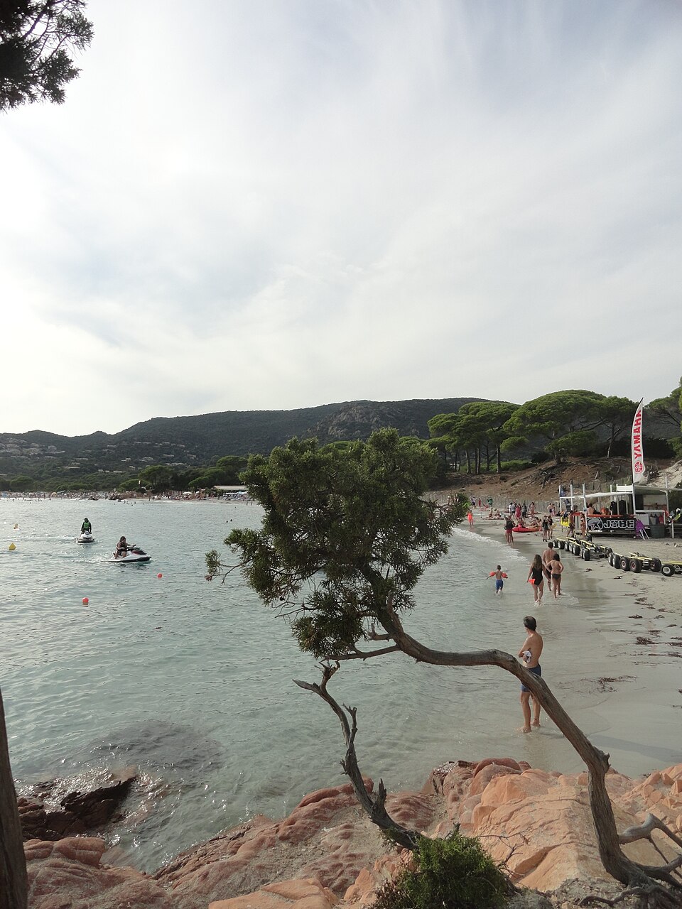 Méditerranée