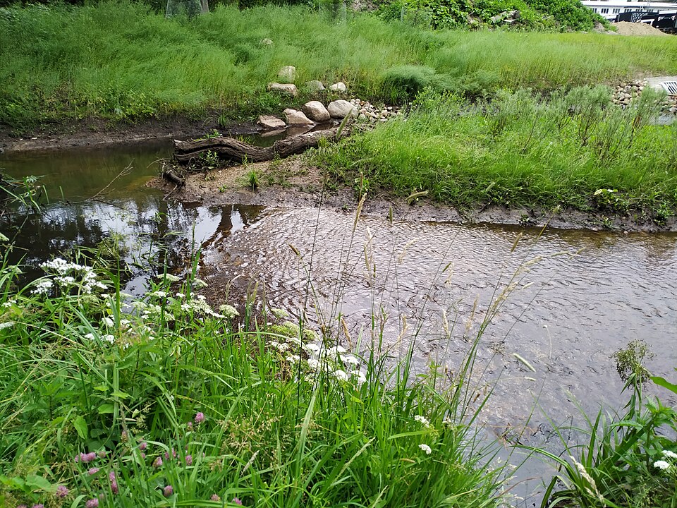 Tarpenbek