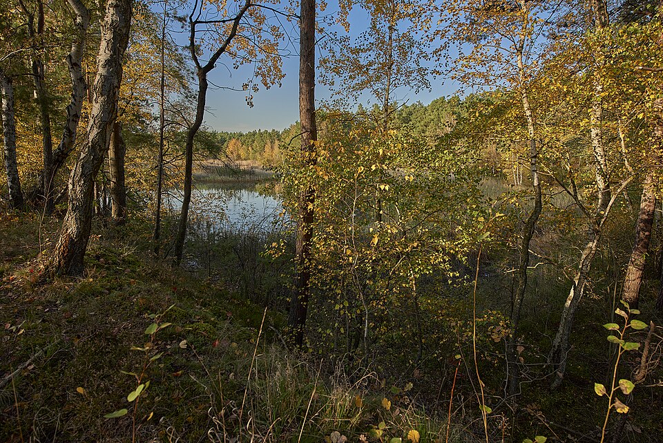 Badesee Rückersdorf
