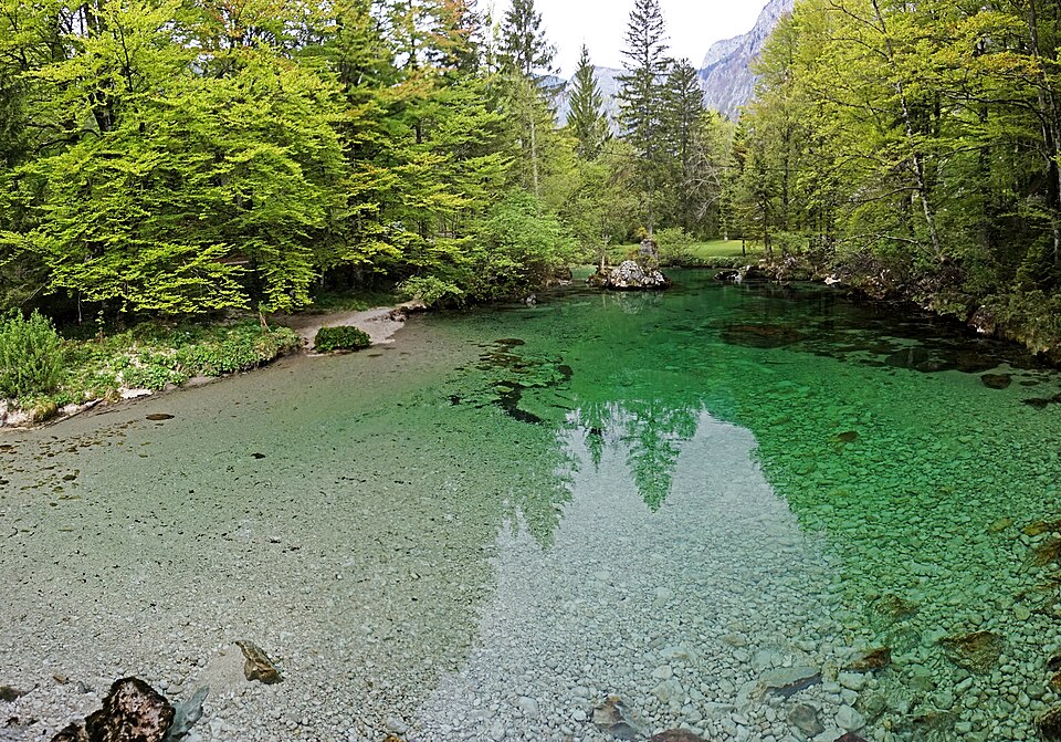 Savica