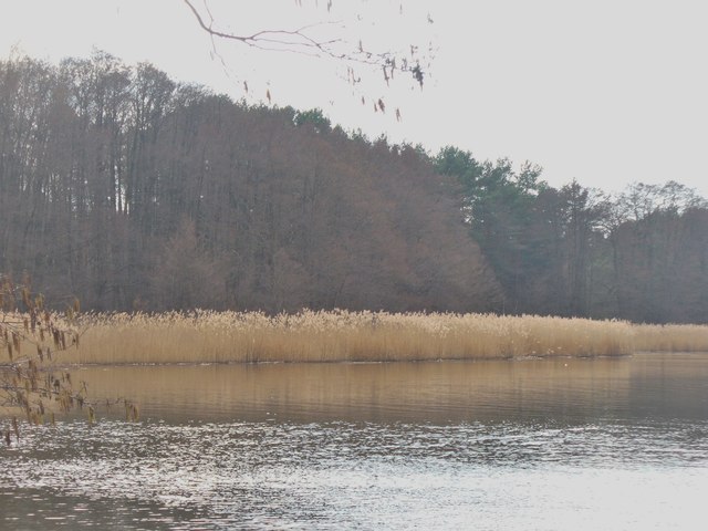 Krossinsee