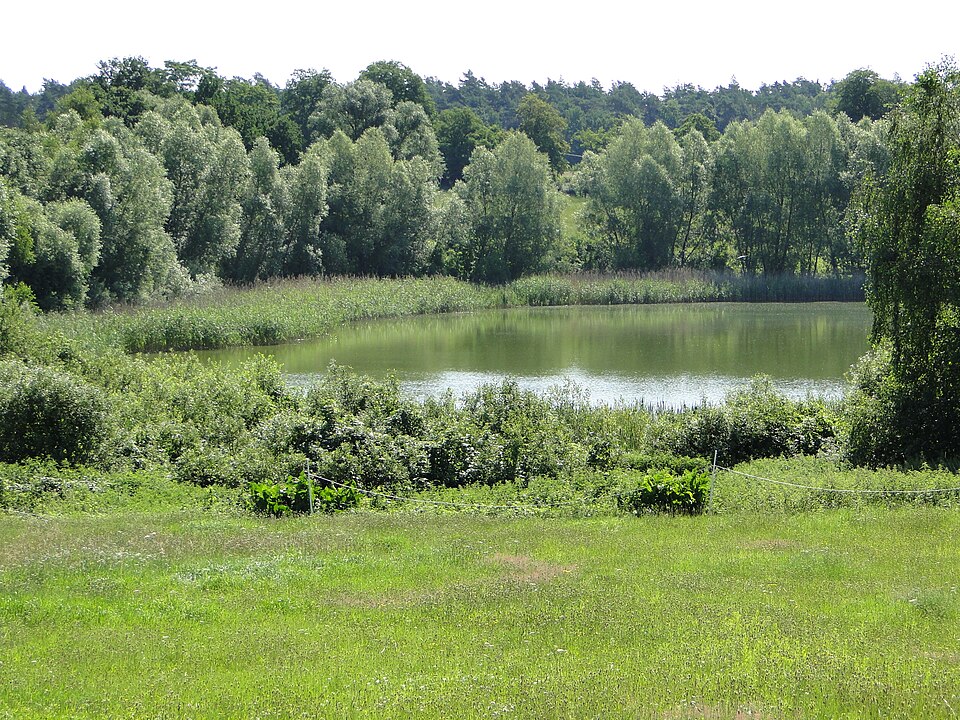 Reimershagener See