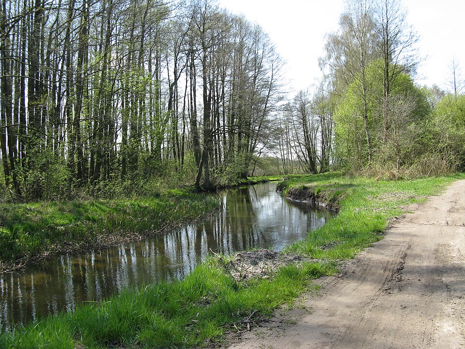 Blanksee