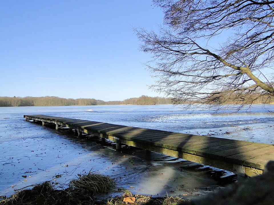Dümmer See