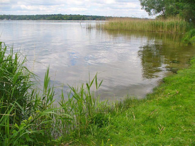 Alter Hof