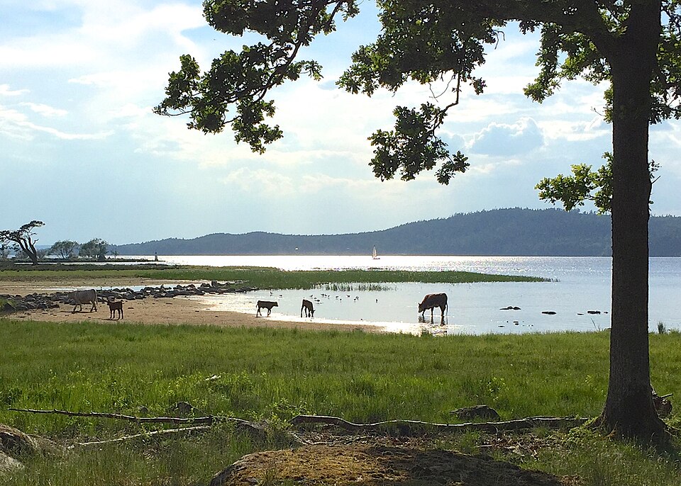 Playa Mjörn