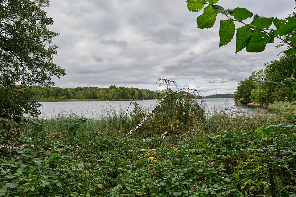 Brunnsvikens Strandbad