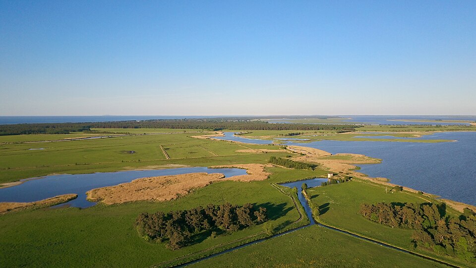 Bodstedter Bodden