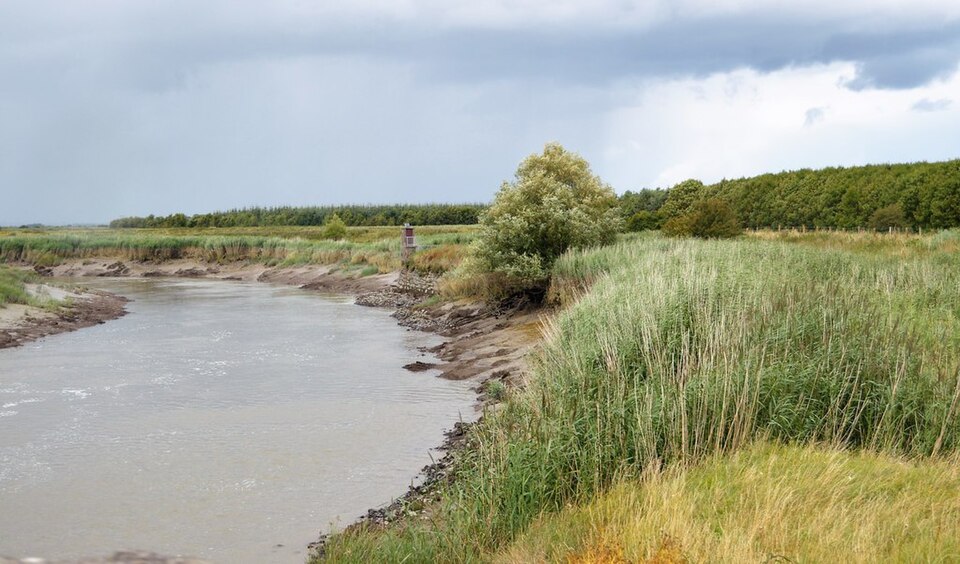 Maigue Estuary