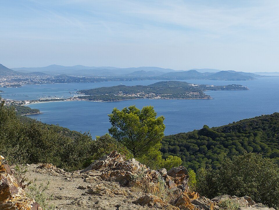 Mediterranean